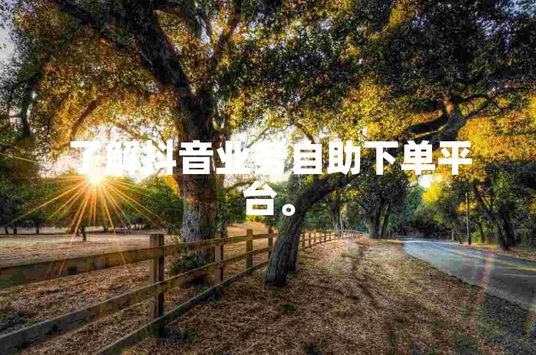 了解抖音业务自助下单平台。