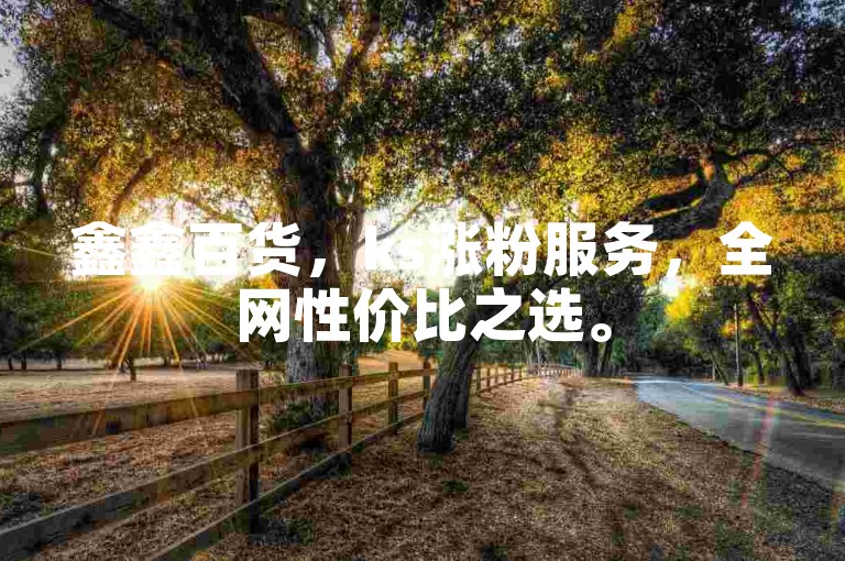 鑫鑫百货，ks涨粉服务，全网性价比之选。