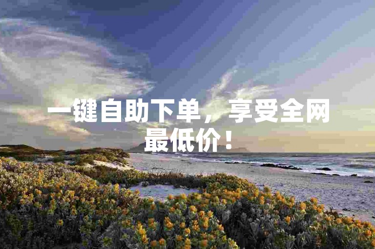 一键自助下单，享受全网最低价！
