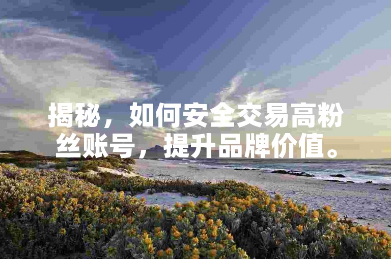 揭秘，如何安全交易高粉丝账号，提升品牌价值。