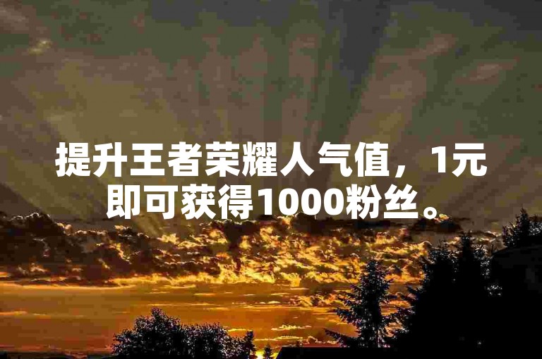 提升王者荣耀人气值，1元即可获得1000粉丝。