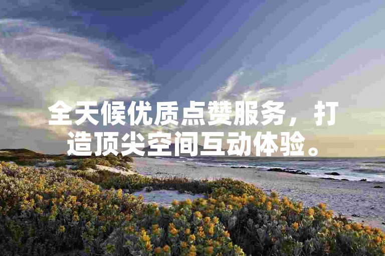 全天候优质点赞服务，打造顶尖空间互动体验。