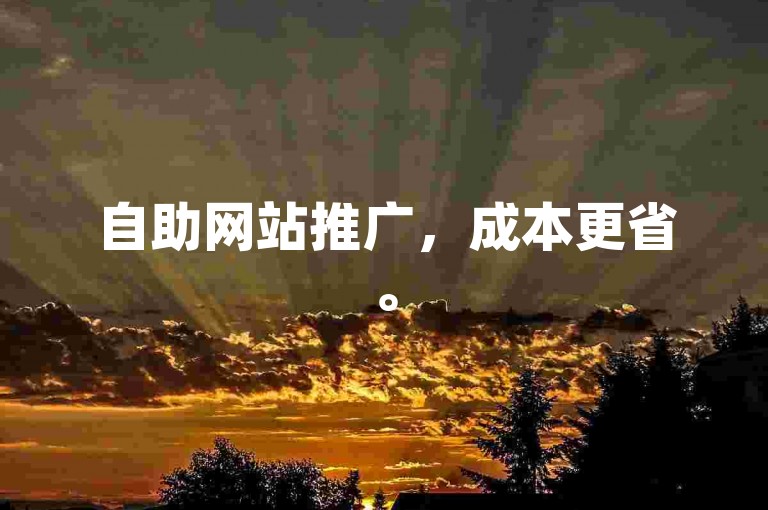 自助网站推广，成本更省。