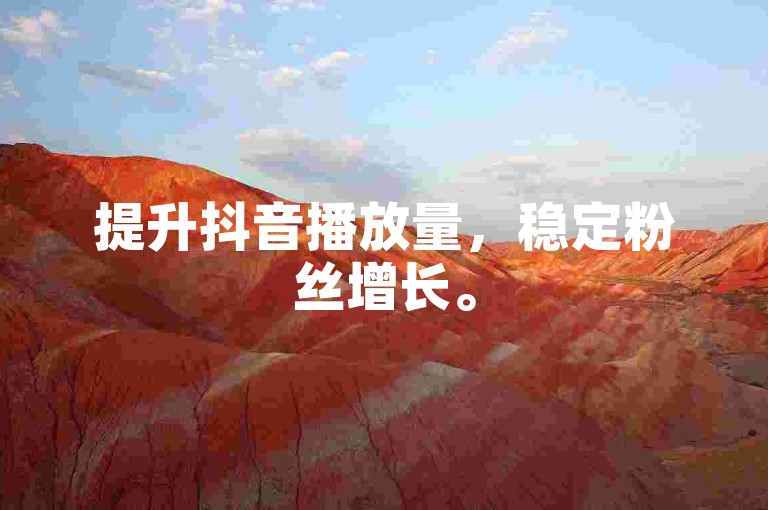 提升抖音播放量，稳定粉丝增长。