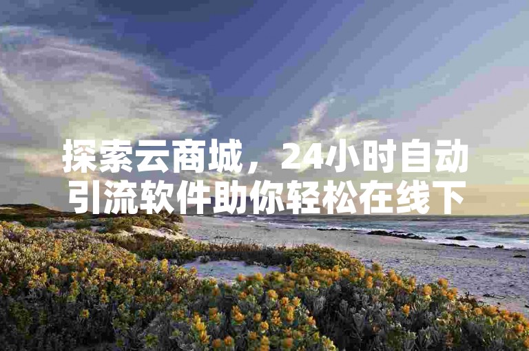 探索云商城，24小时自动引流软件助你轻松在线下单。