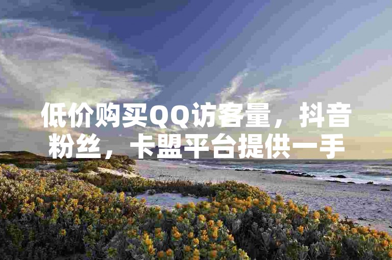 低价购买QQ访客量，抖音粉丝，卡盟平台提供一手货源。