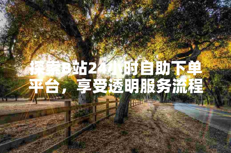 探索B站24小时自助下单平台，享受透明服务流程。