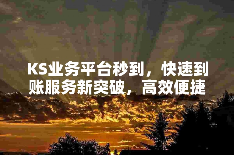 KS业务平台秒到，快速到账服务新突破，高效便捷。