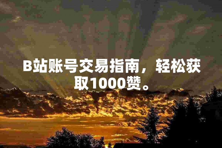 B站账号交易指南，轻松获取1000赞。
