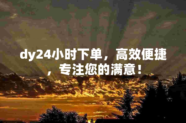 dy24小时下单，高效便捷，专注您的满意！