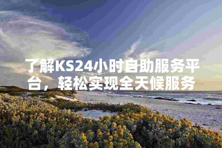 了解KS24小时自助服务平台，轻松实现全天候服务。