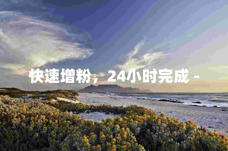 快速增粉，24小时完成 - 520代刷服务