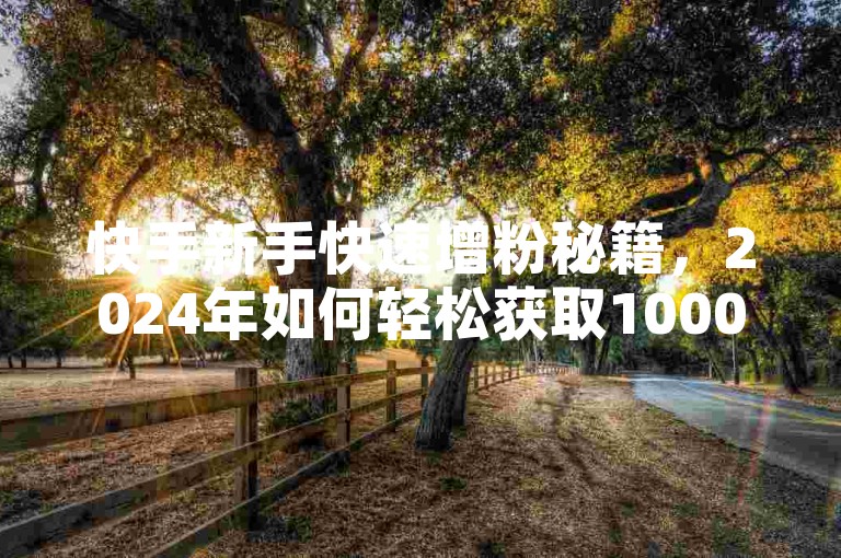 快手新手快速增粉秘籍，2024年如何轻松获取1000粉丝？