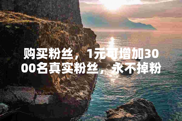 购买粉丝，1元可增加3000名真实粉丝，永不掉粉。