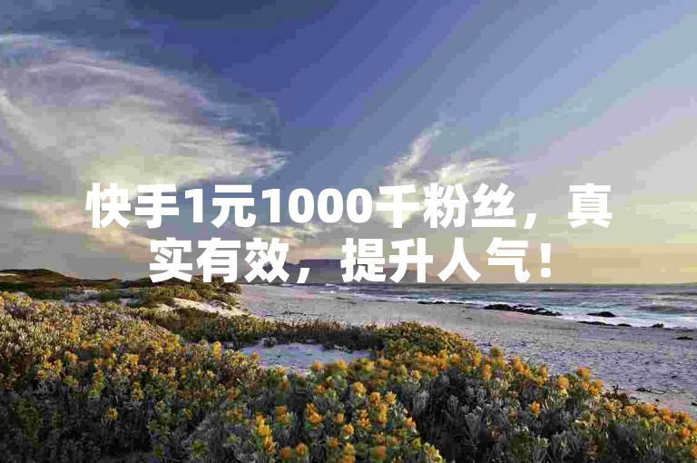 快手1元1000千粉丝，真实有效，提升人气！