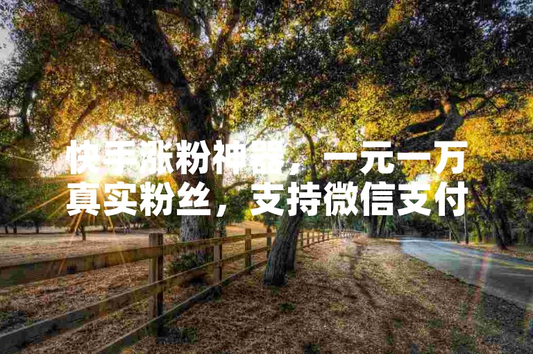 快手涨粉神器，一元一万真实粉丝，支持微信支付。