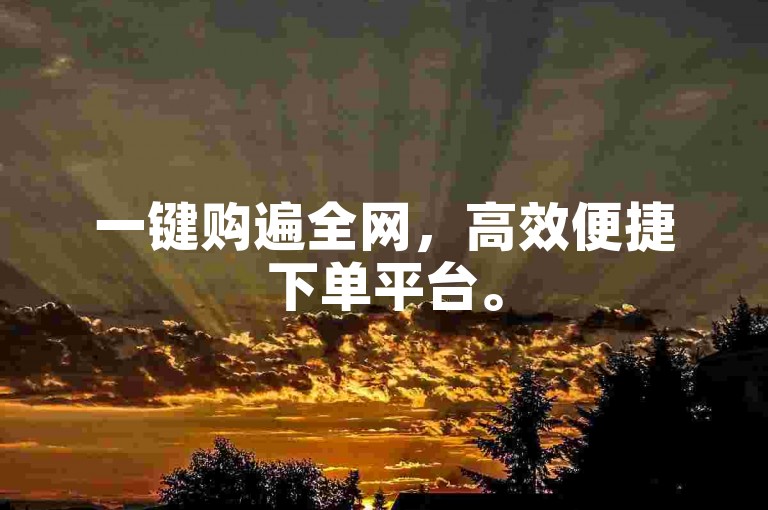 一键购遍全网，高效便捷下单平台。