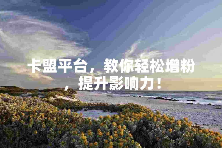 卡盟平台，教你轻松增粉，提升影响力！