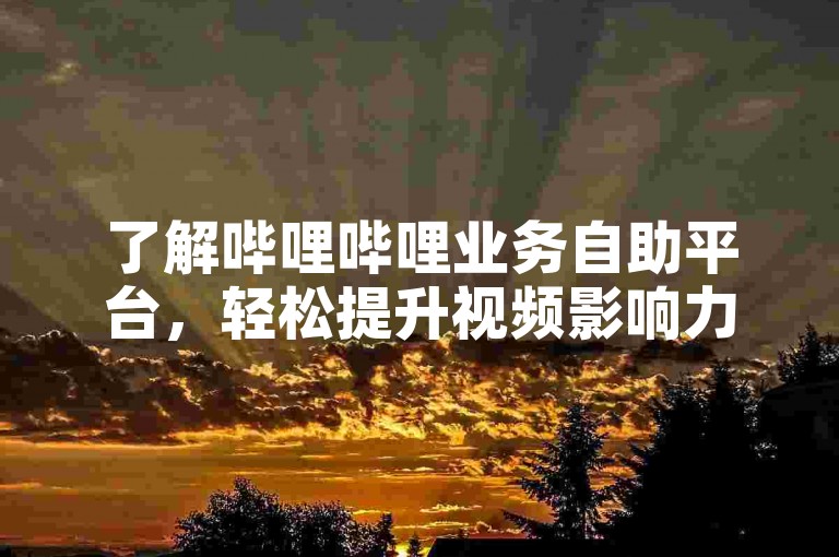 了解哔哩哔哩业务自助平台，轻松提升视频影响力。