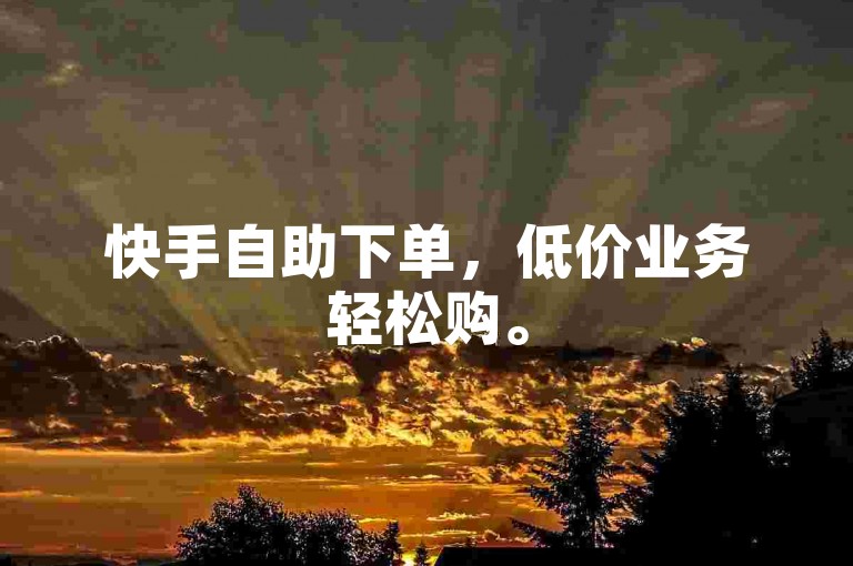 快手自助下单，低价业务轻松购。
