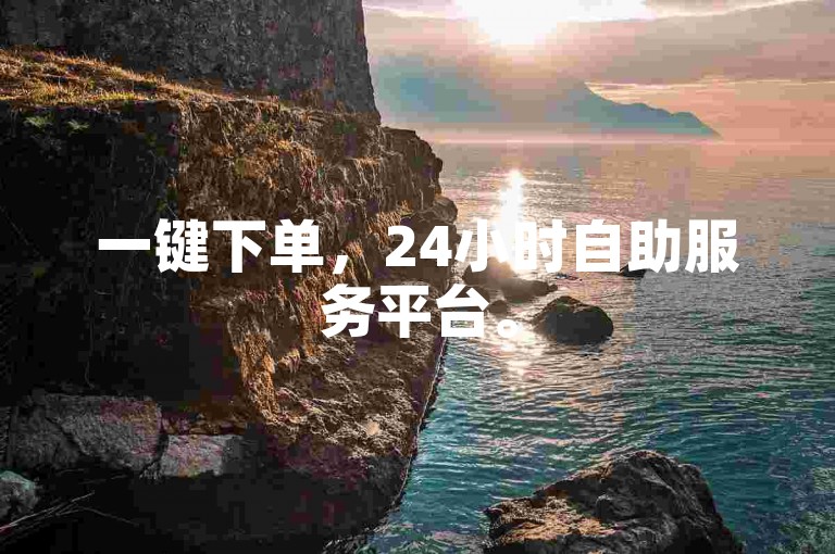 一键下单，24小时自助服务平台。