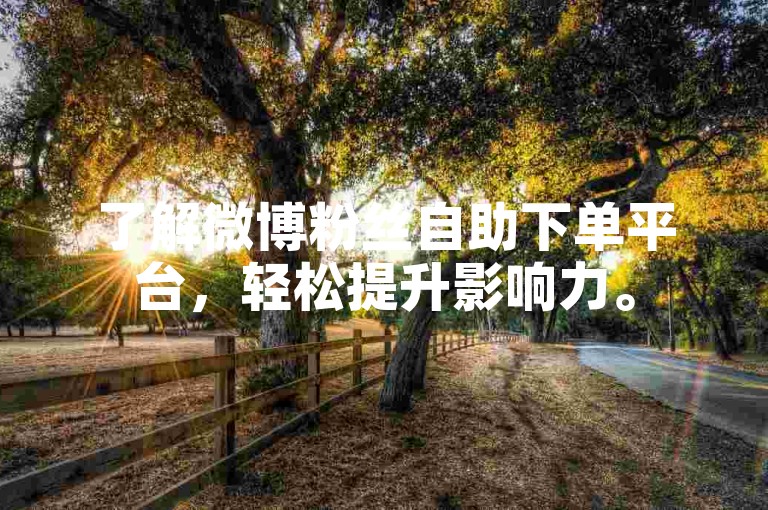 了解微博粉丝自助下单平台，轻松提升影响力。