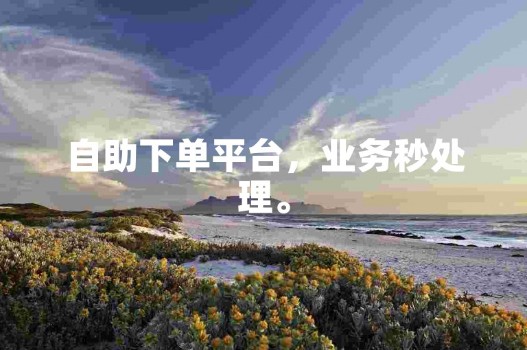 自助下单平台，业务秒处理。