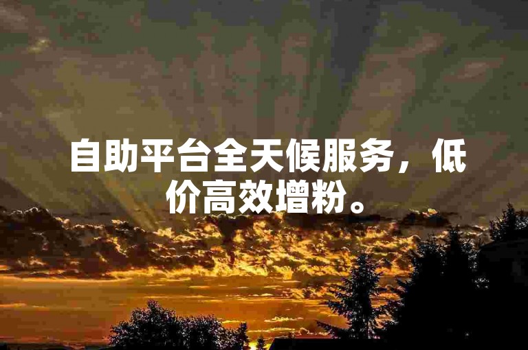 自助平台全天候服务，低价高效增粉。