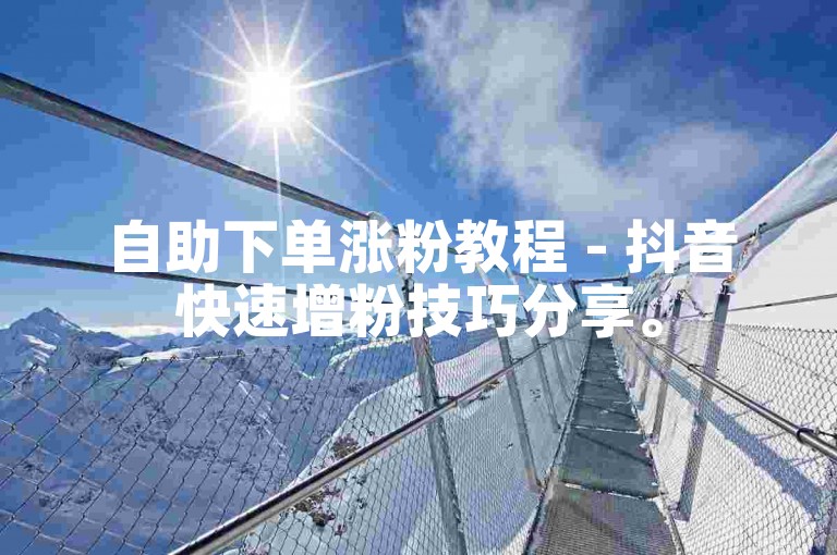 自助下单涨粉教程 - 抖音快速增粉技巧分享。