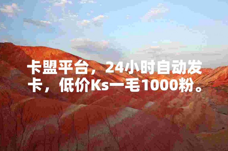卡盟平台，24小时自动发卡，低价Ks一毛1000粉。