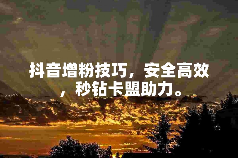抖音增粉技巧，安全高效，秒钻卡盟助力。