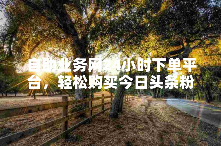 自助业务网24小时下单平台，轻松购买今日头条粉丝。