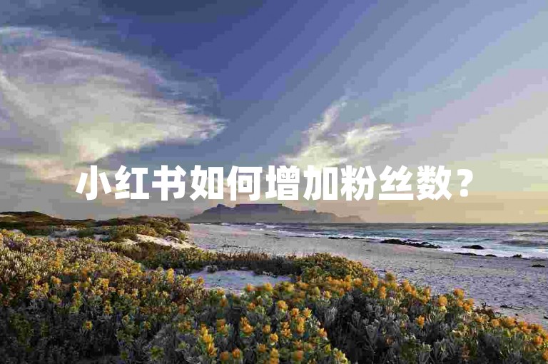 小红书如何增加粉丝数？