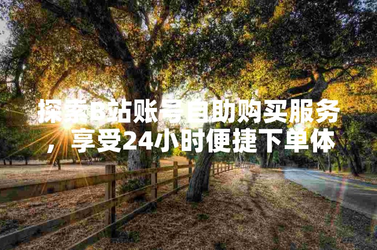 探索B站账号自助购买服务，享受24小时便捷下单体验。