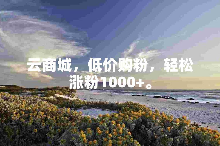 云商城，低价购粉，轻松涨粉1000+。
