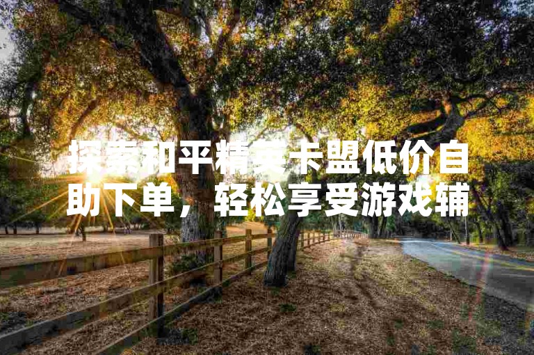 探索和平精英卡盟低价自助下单，轻松享受游戏辅助服务。