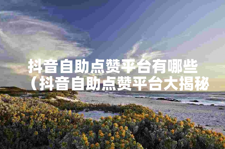 抖音自助点赞平台有哪些（抖音自助点赞平台大揭秘）