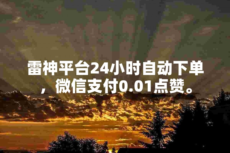 雷神平台24小时自动下单，微信支付0.01点赞。