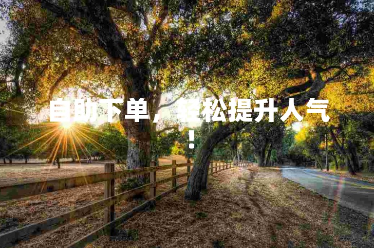 自助下单，轻松提升人气！