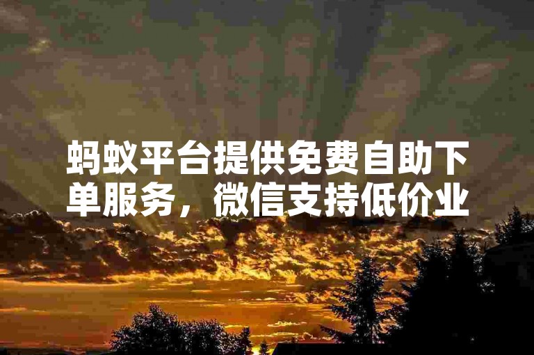 蚂蚁平台提供免费自助下单服务，微信支持低价业务自助下单。