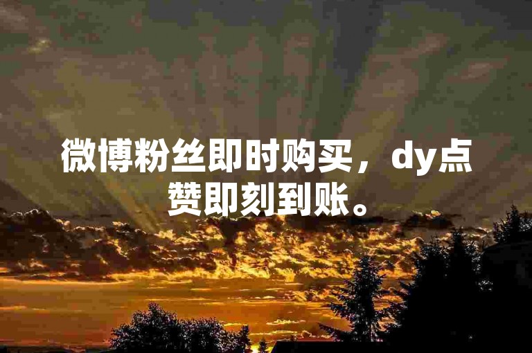 微博粉丝即时购买，dy点赞即刻到账。