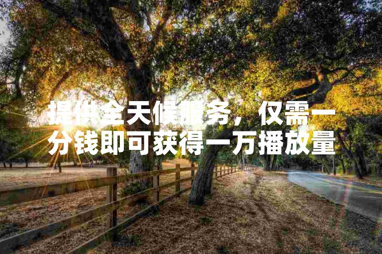 提供全天候服务，仅需一分钱即可获得一万播放量。