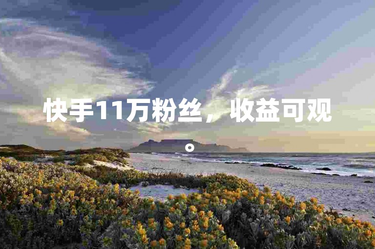 快手11万粉丝，收益可观。