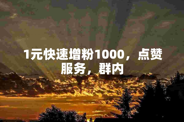 1元快速增粉1000，点赞服务，群内5000人互助，24小时接单。