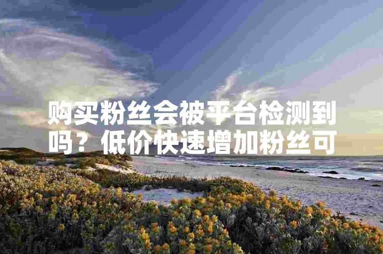 购买粉丝会被平台检测到吗？低价快速增加粉丝可信吗？