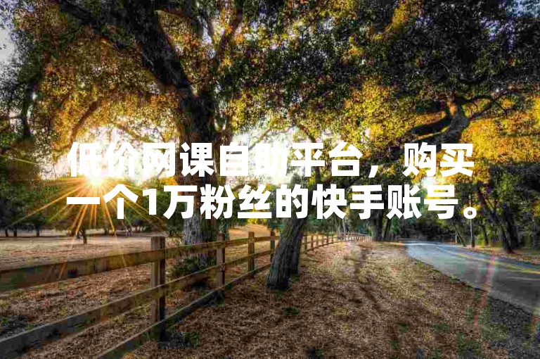 低价网课自助平台，购买一个1万粉丝的快手账号。