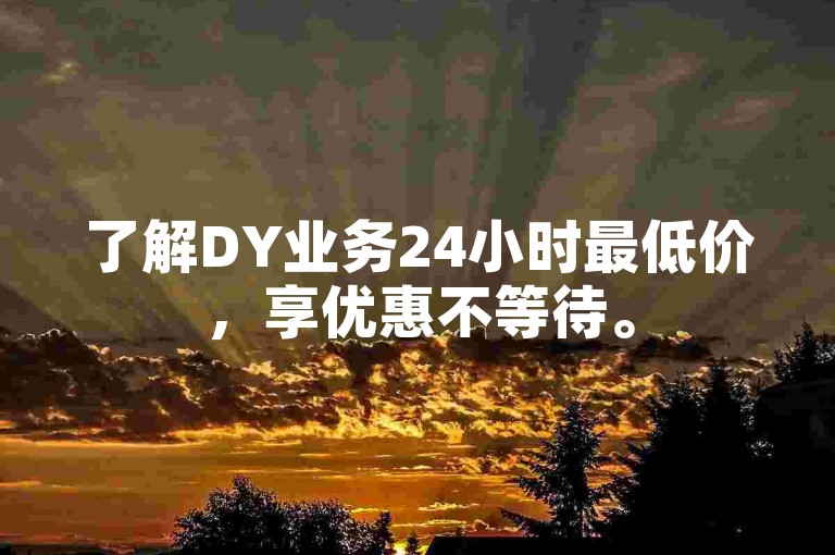 了解DY业务24小时最低价，享优惠不等待。