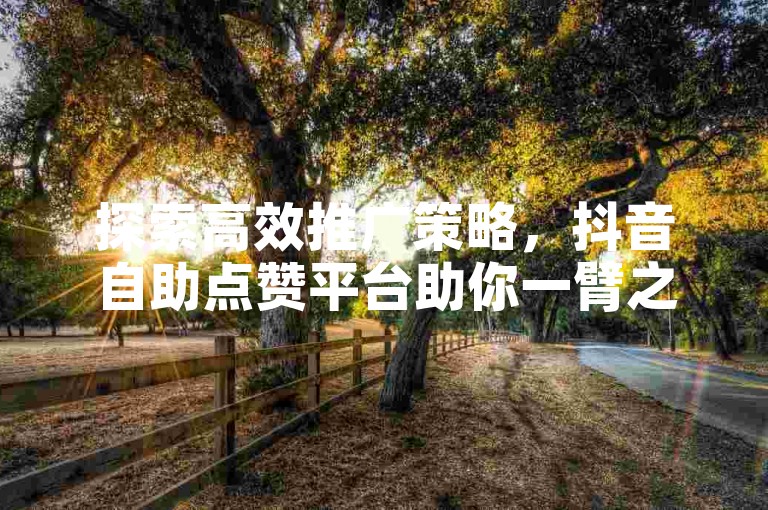 探索高效推广策略，抖音自助点赞平台助你一臂之力。
