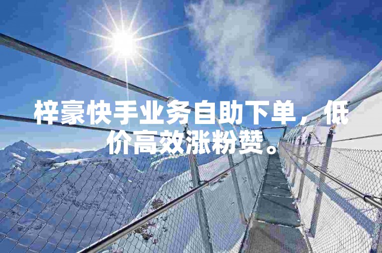 梓豪快手业务自助下单，低价高效涨粉赞。
