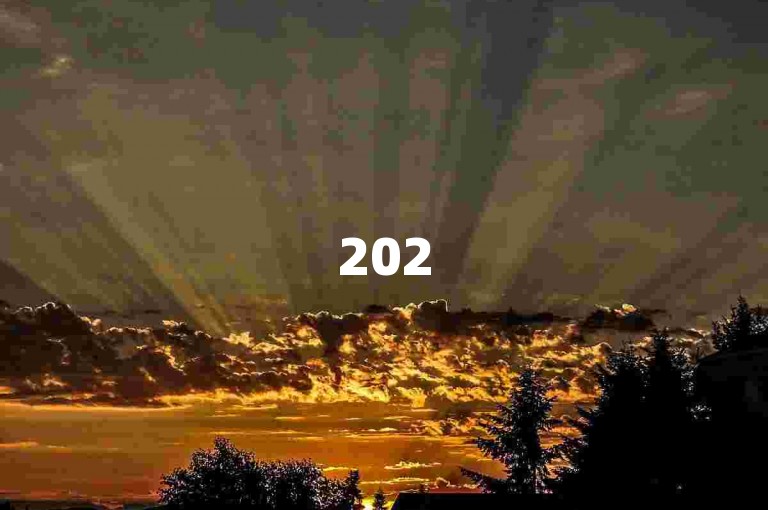 2025年拼多多砍价群，互助共赢，快来加入！